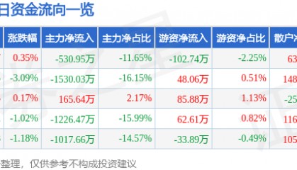 股票行情快报:六国化工(600470)8月1日主力资金净卖出530.95万元