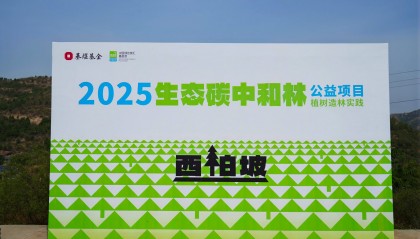 西柏坡再添“碳中和林” 续写绿色金融大文章