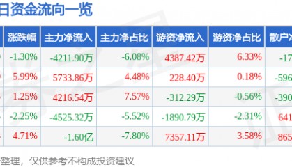 股票行情快报：潞安环能（601699）3月13日主力资金净卖出4211.90万元
