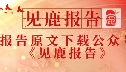 2024中国碳市场体系研究报告-上海高级金融学院