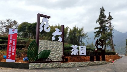 中航集团定点帮扶地区广西昭平举办2025早春茶大会