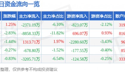 股票行情快报:焦点科技(002315)8月29日主力资金净卖出2371.19万元