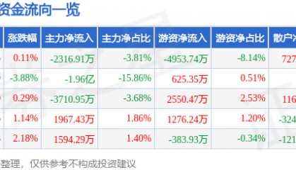 股票行情快报:瑞芯微(603893)6月11日主力资金净卖出2316.91万元