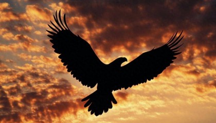 金融壹账通第一季营收3.7亿:同比降49% 运营亏损5600万