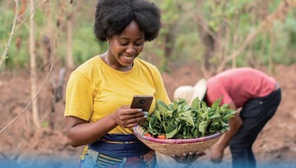 全球仍有31亿人用不起智能手机上网！