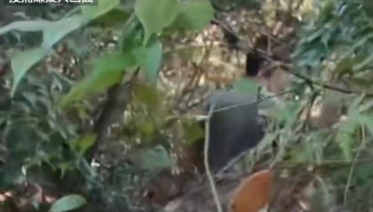 湖南一男子发疯行凶致3死1伤,研究生制止被刺身亡