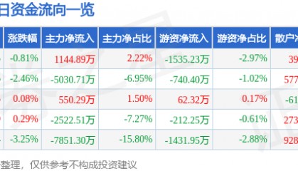 股票行情快报:焦点科技(002315)8月14日主力资金净买入1144.89万元