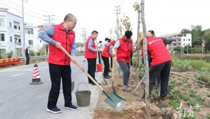 政企共建 “人保振兴林”,金融“活水”浇灌生态振兴