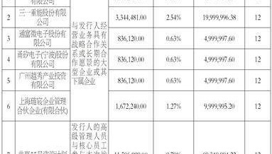 道生天合材料科技(上海)股份有限公司 首次公开发行股票并在主板上市发行结果公告