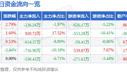 股票行情快报:六国化工(600470)9月8日主力资金净卖出236.24万元