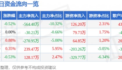 股票行情快报:六国化工(600470)8月13日主力资金净卖出564.40万元