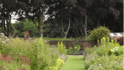 奥克兰大学金融专业:洞察金融市场风云变幻