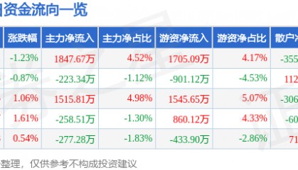 股票行情快报：渝开发（000514）8月14日主力资金净买入1847.67万元
