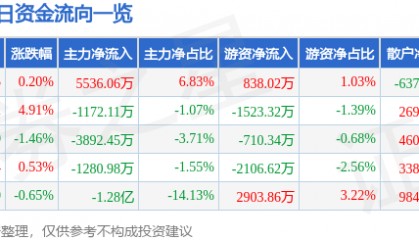 股票行情快报：联创光电（600363）8月29日主力资金净买入5536.06万元