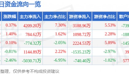 股票行情快报:焦点科技(002315)8月19日主力资金净买入4209.20万元
