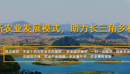 做好金融创新文章 加快发展农业新质生产力