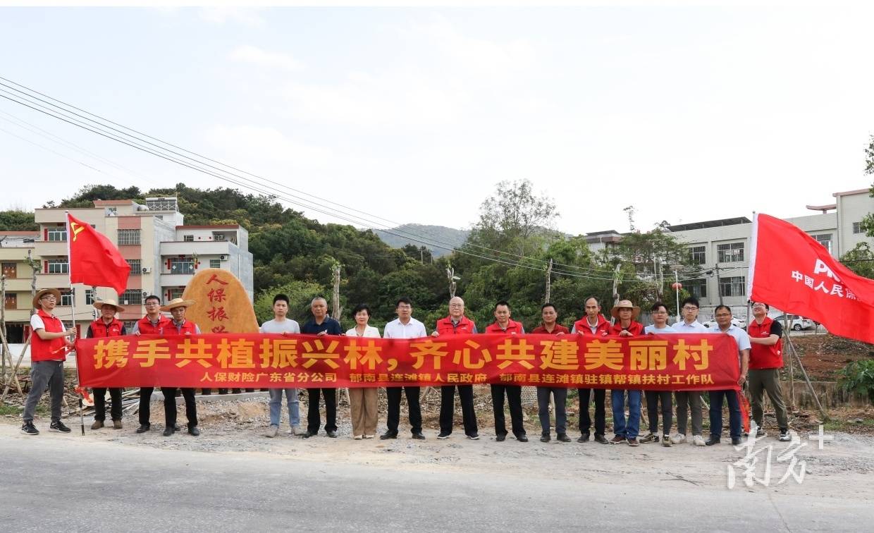 政企共建 “人保振兴林”，金融“活水”浇灌生态振兴