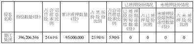 安徽楚江科技新材料股份有限公司 关于控股股东部分股份解除质押的公告