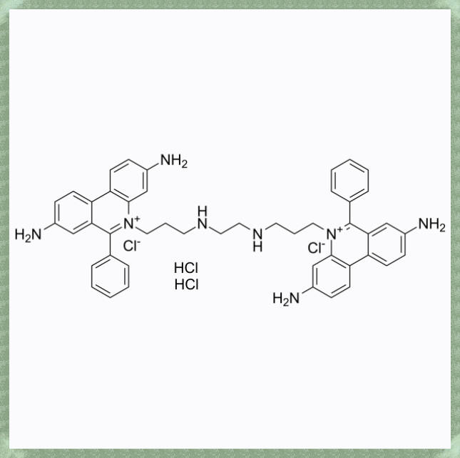 Ethidium Homodimer 1 (EthD-1)，可用于细胞凋亡研究