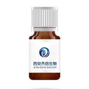 Azidoethyl-SS-ethylazide，N3-SS-N3的合成路线
