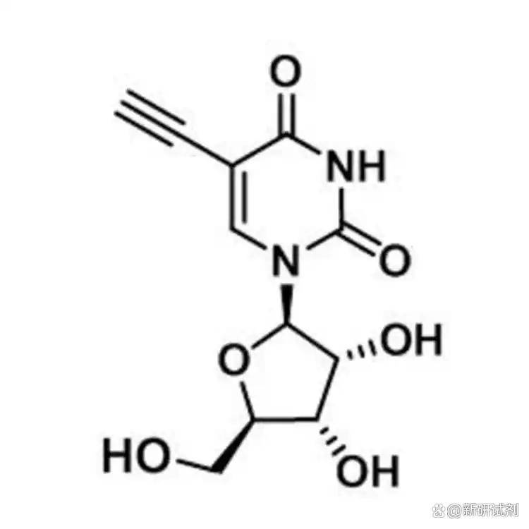 5-Ethynyl uridine，69075-42-9药物研发的理想选择