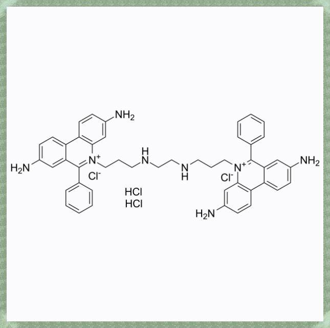 Ethidium Homodimer 1 (EthD-1)的使用方法（超详细）和作用机制