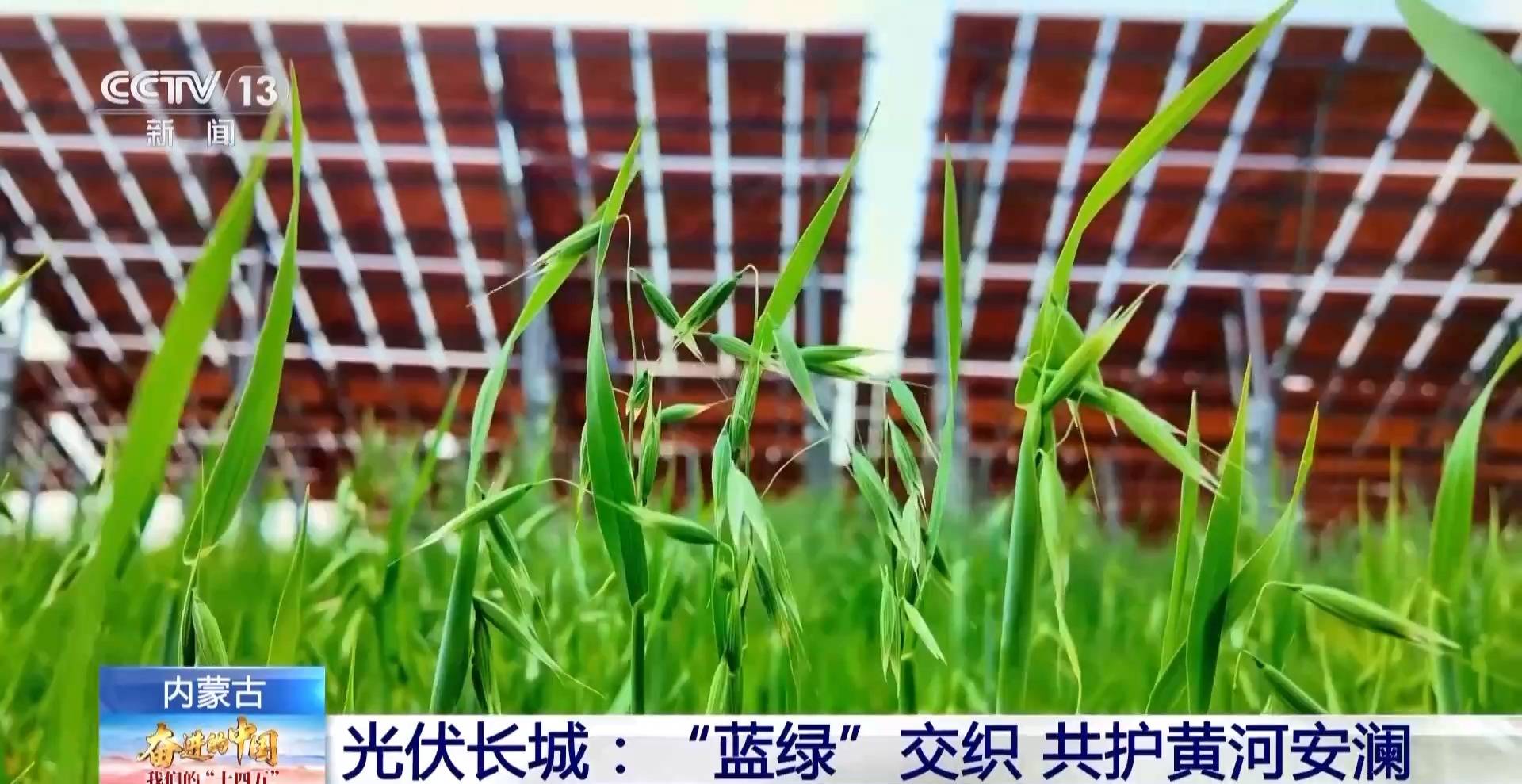 5年防沙治沙超6500万亩 荒漠变绿洲内蒙古付出了哪些努力