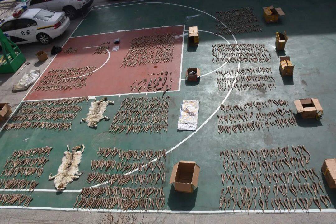 “饭已做好,速来品尝”,这句暗号藏着意想不到的真相……