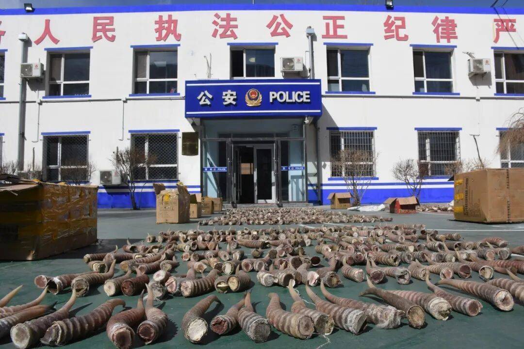 “饭已做好,速来品尝”,这句暗号藏着意想不到的真相……