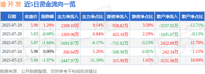 股票行情快报：渝开发（000514）7月29日主力资金净买入2399.10万元